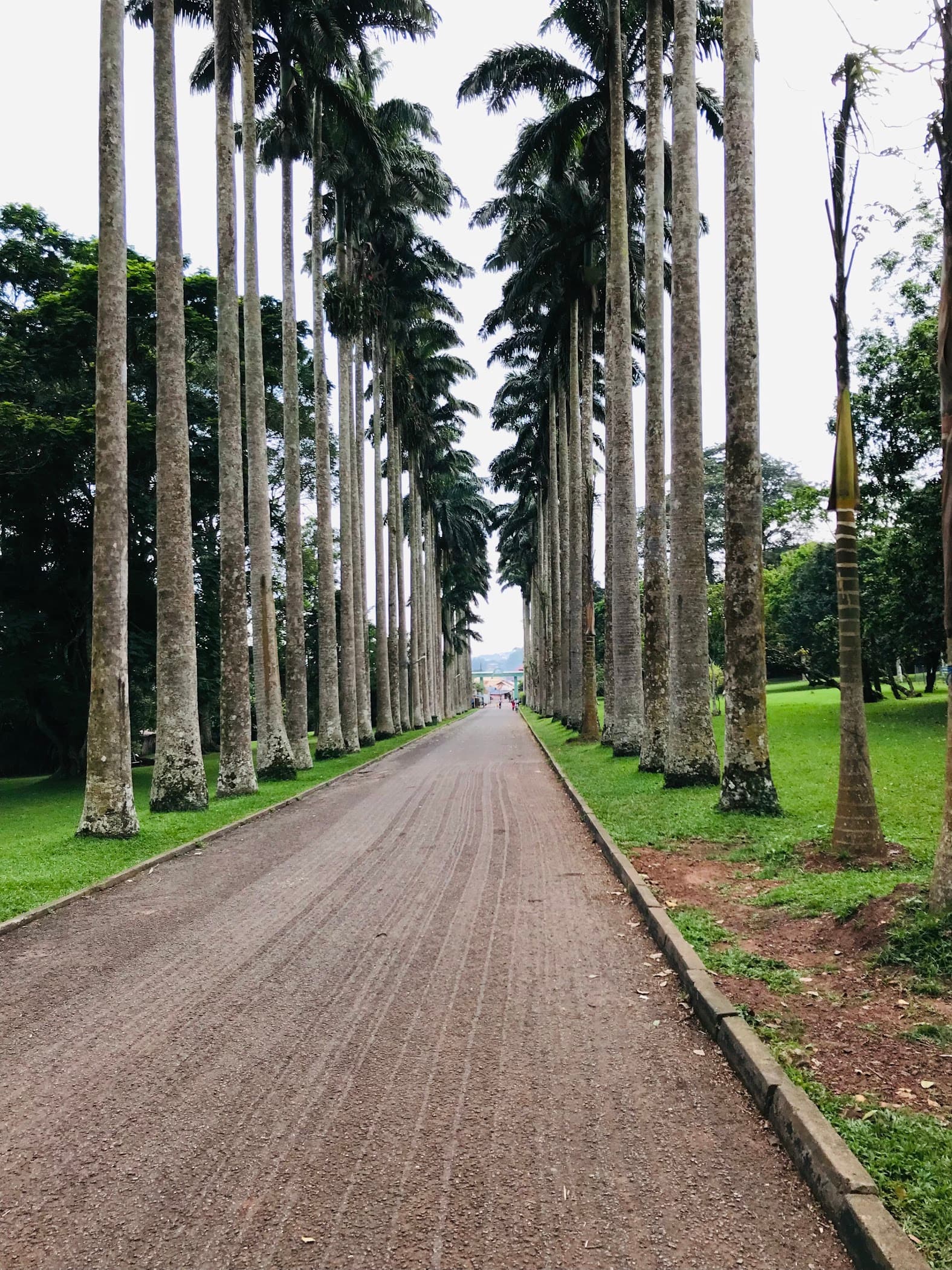 Aburi Botanical Gardens & Park